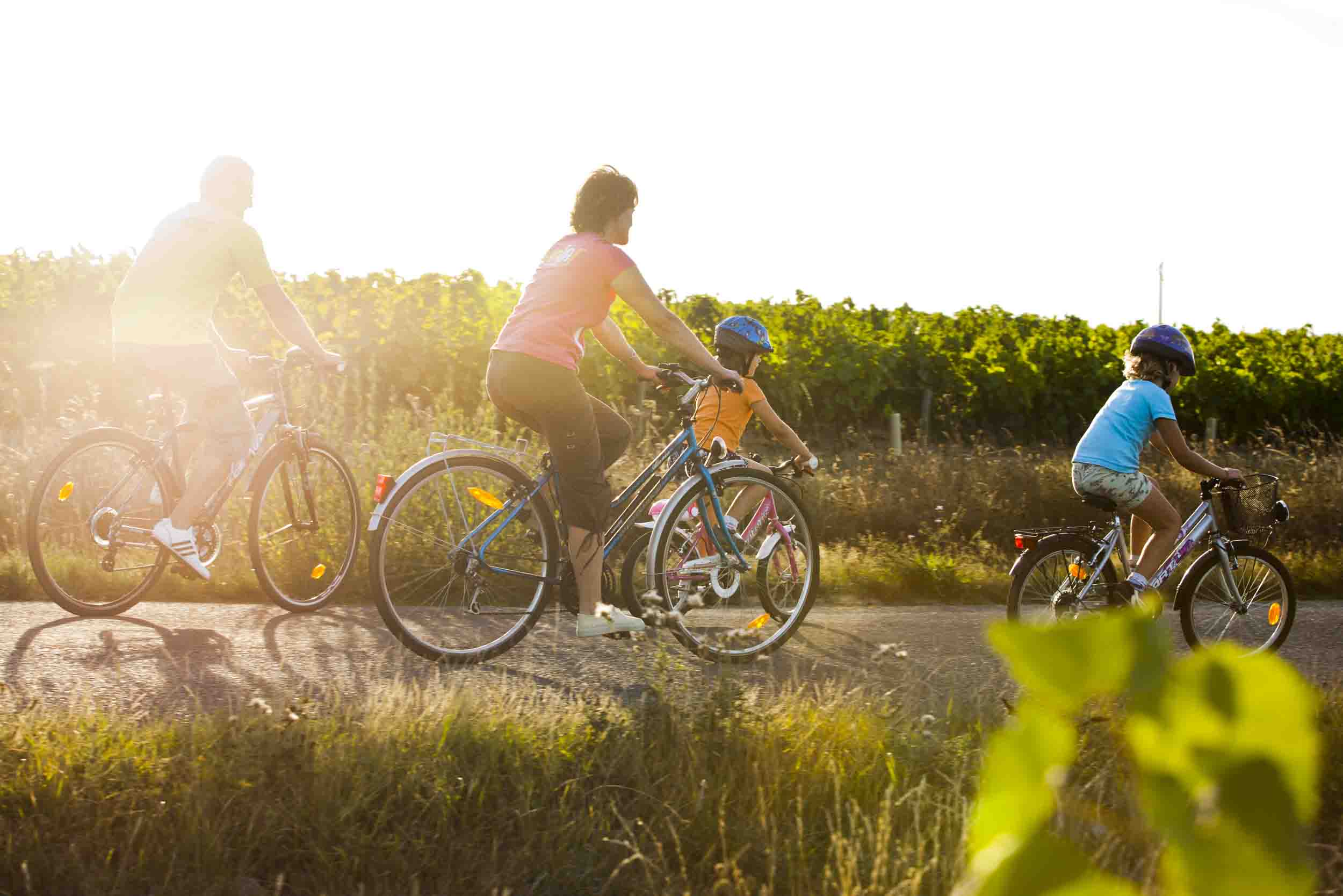 randonnées vélo vignoble