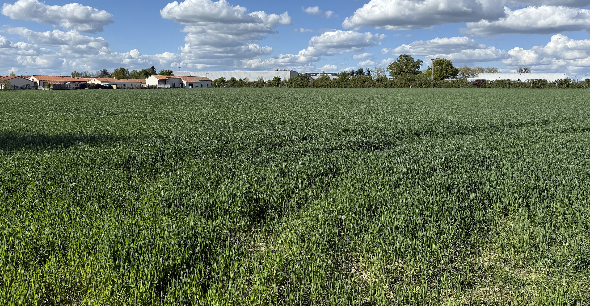 photo terrain 